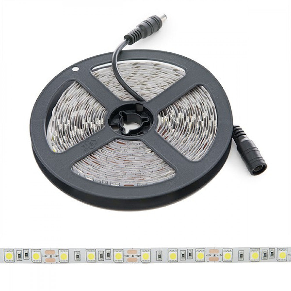 pl219009w_0